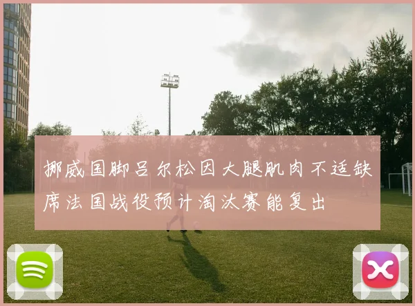 挪威国脚吕尔松因大腿肌肉不适缺席法国战役预计淘汰赛能复出