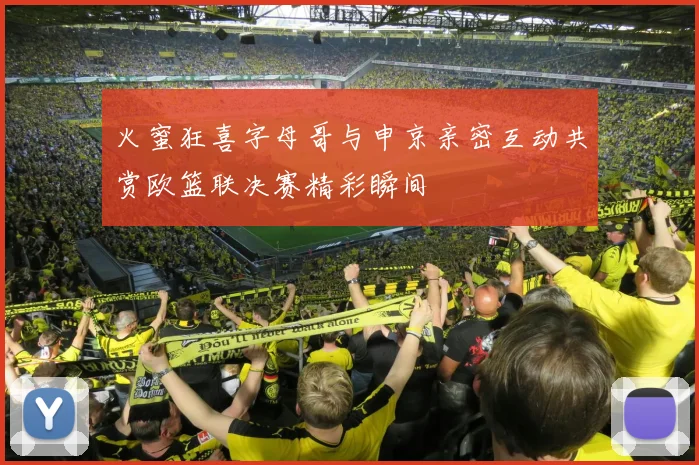 火蜜狂喜字母哥与申京亲密互动共赏欧篮联决赛精彩瞬间