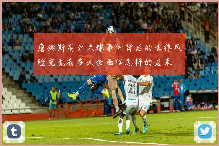 詹姆斯高尔夫球事件背后的法律风险究竟有多大会面临怎样的后果
